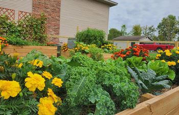 Community garden